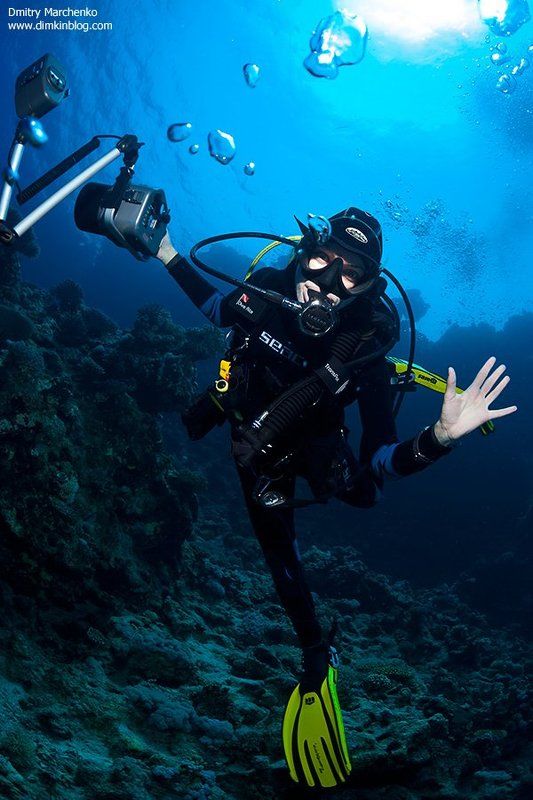 дайвер, подводное фото, дайвинг, фотограф Фотографа вызывали ? фото превью