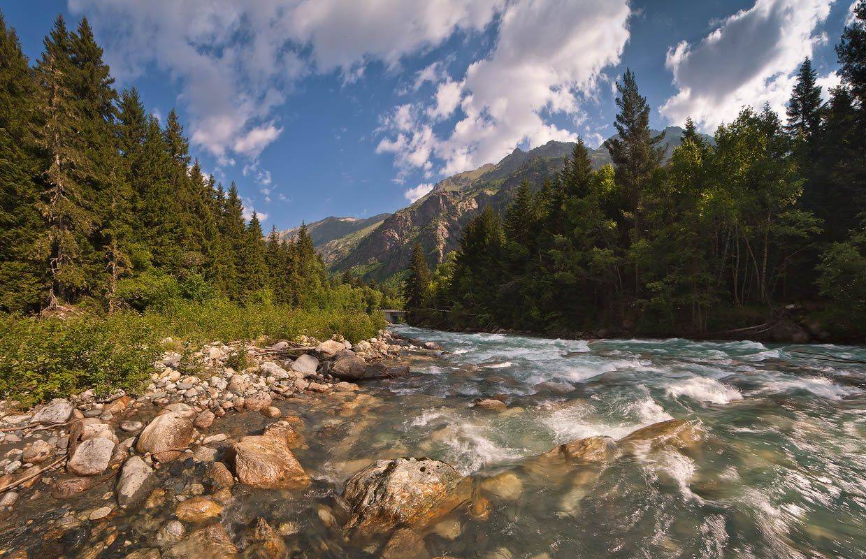 кавказ, домбай, гоначхир, лето, Николай Мысливцев