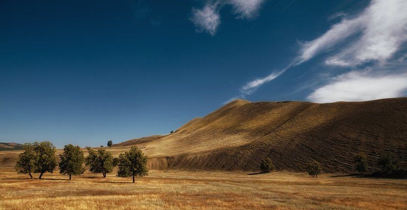 лецезренческая с холмами фото превью