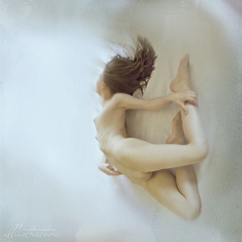 Бабочка фото превью