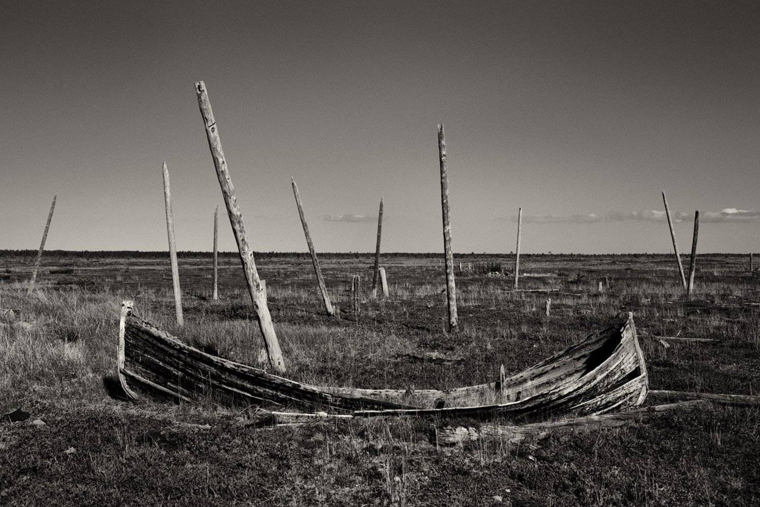 на, вечном, приколе, Владимир Кириченко (vlkira)