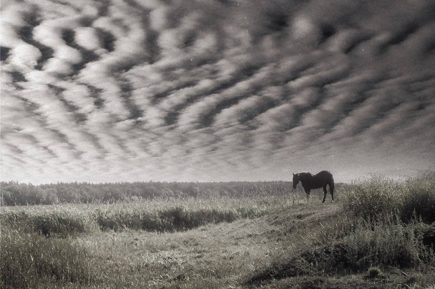 , Радковская Наталья