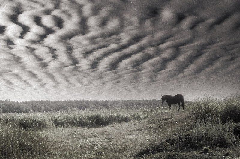 --- фото превью