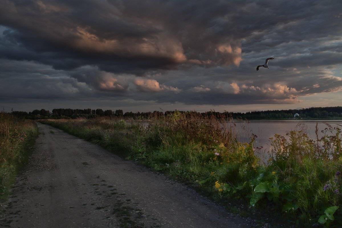 купавинские, озёра, Андрей Леонидович