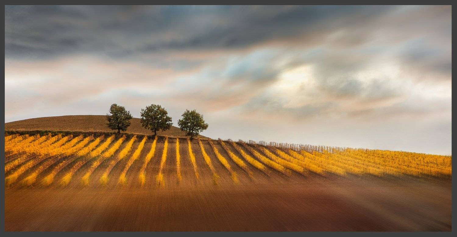 тоскана, пейзаж, виноградник, Centurion