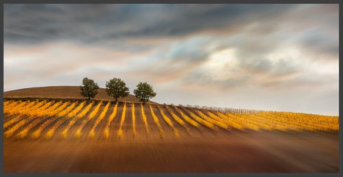 Тосканские зарисовки