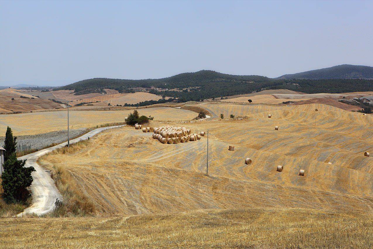 италия, тоскана,монтальчини, Игорь Дубровский