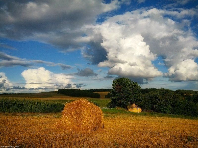 август, поля, урожай, осень Осень всё ближе фото превью