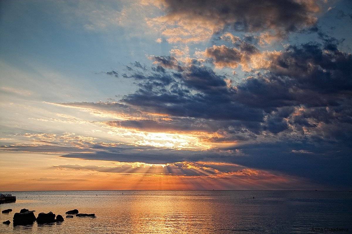 , Чаадаева Анна