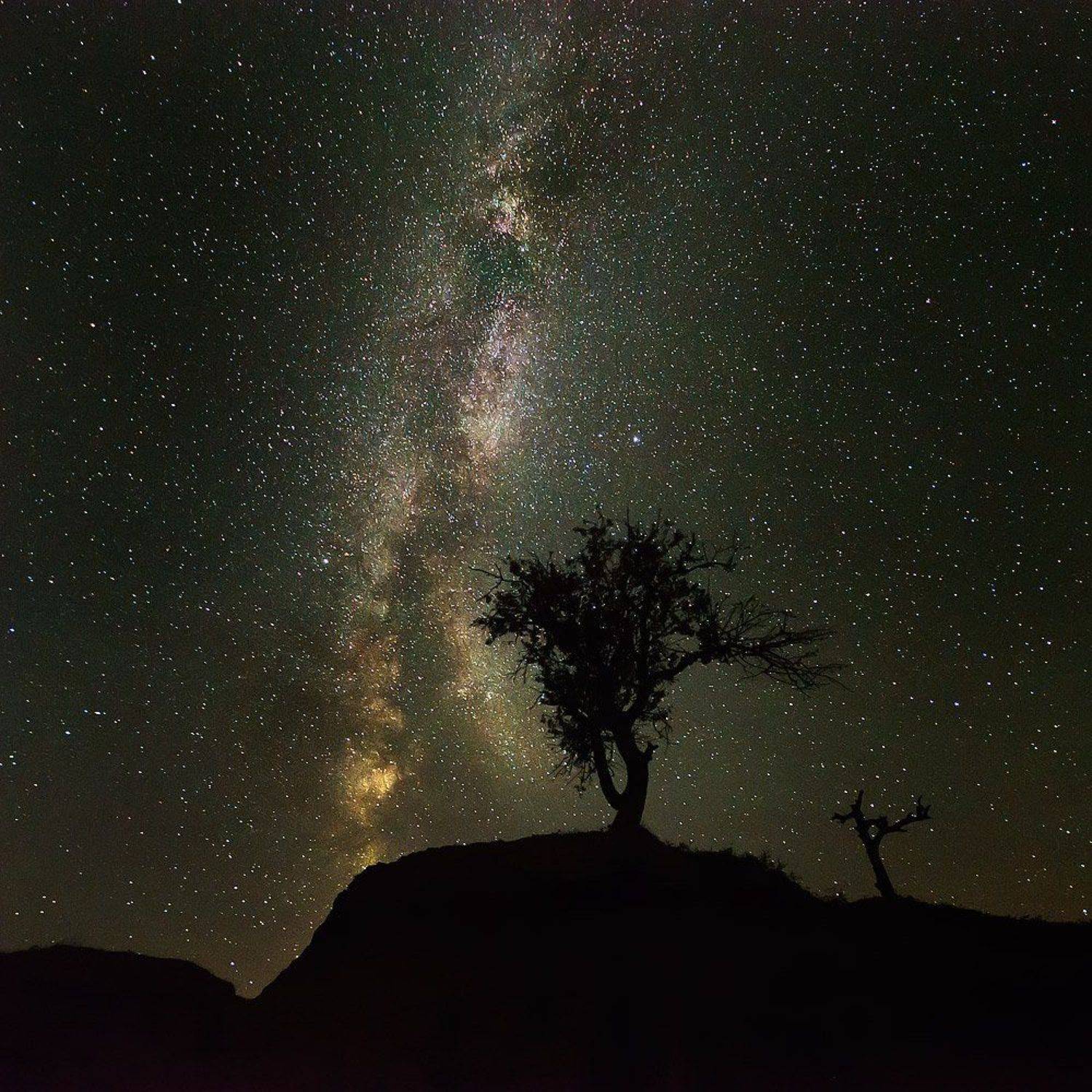 , Величко Владимир