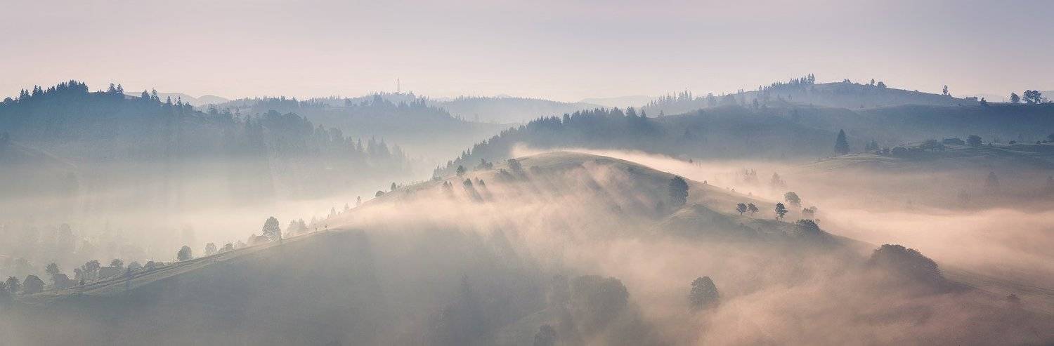 , Денис Кривой