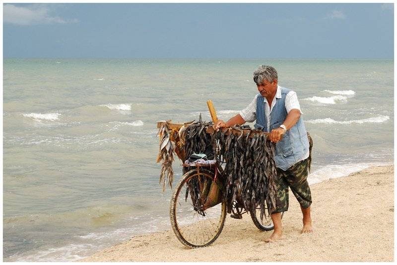 , Щербина Игорь