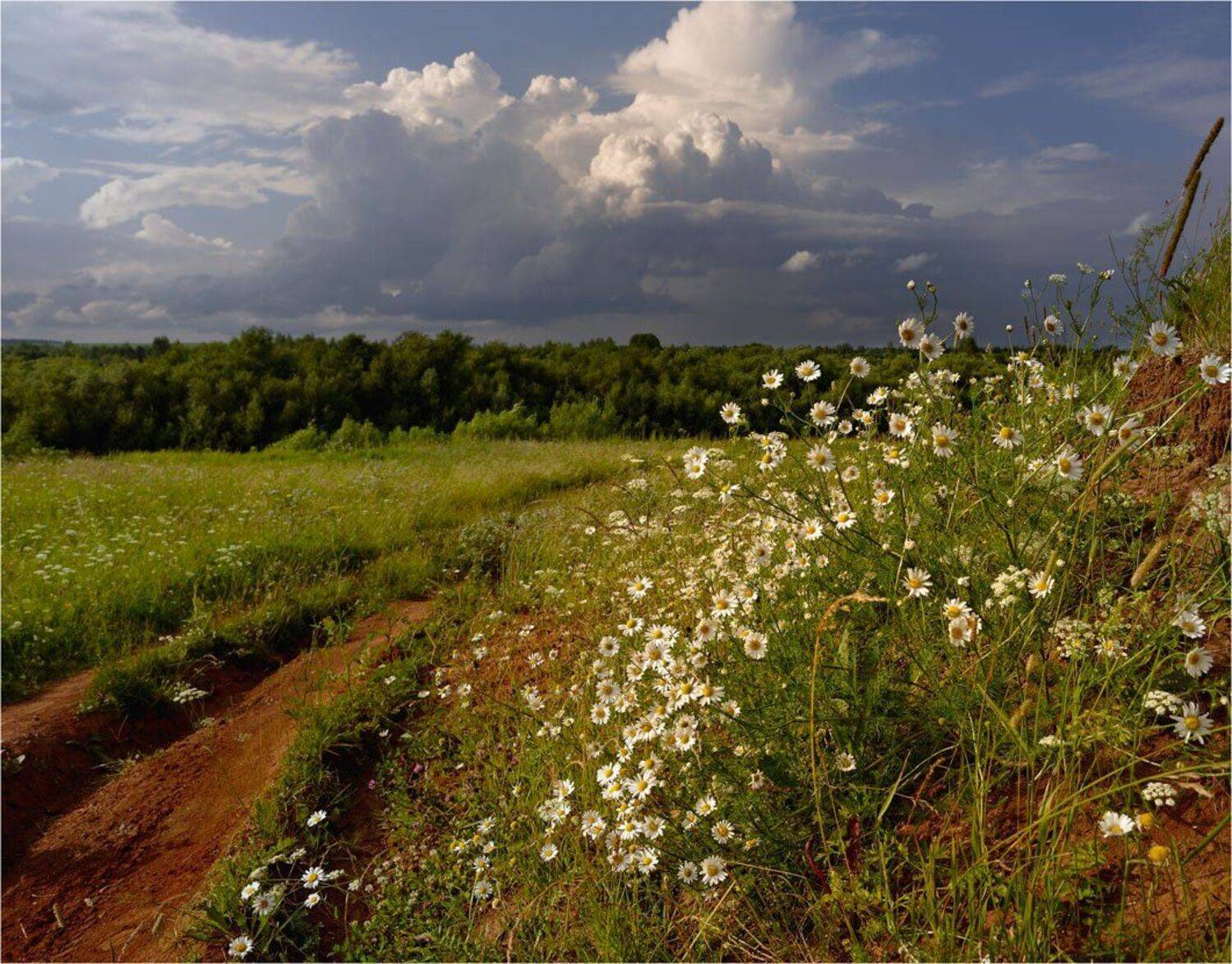 , Анатолий Гулин