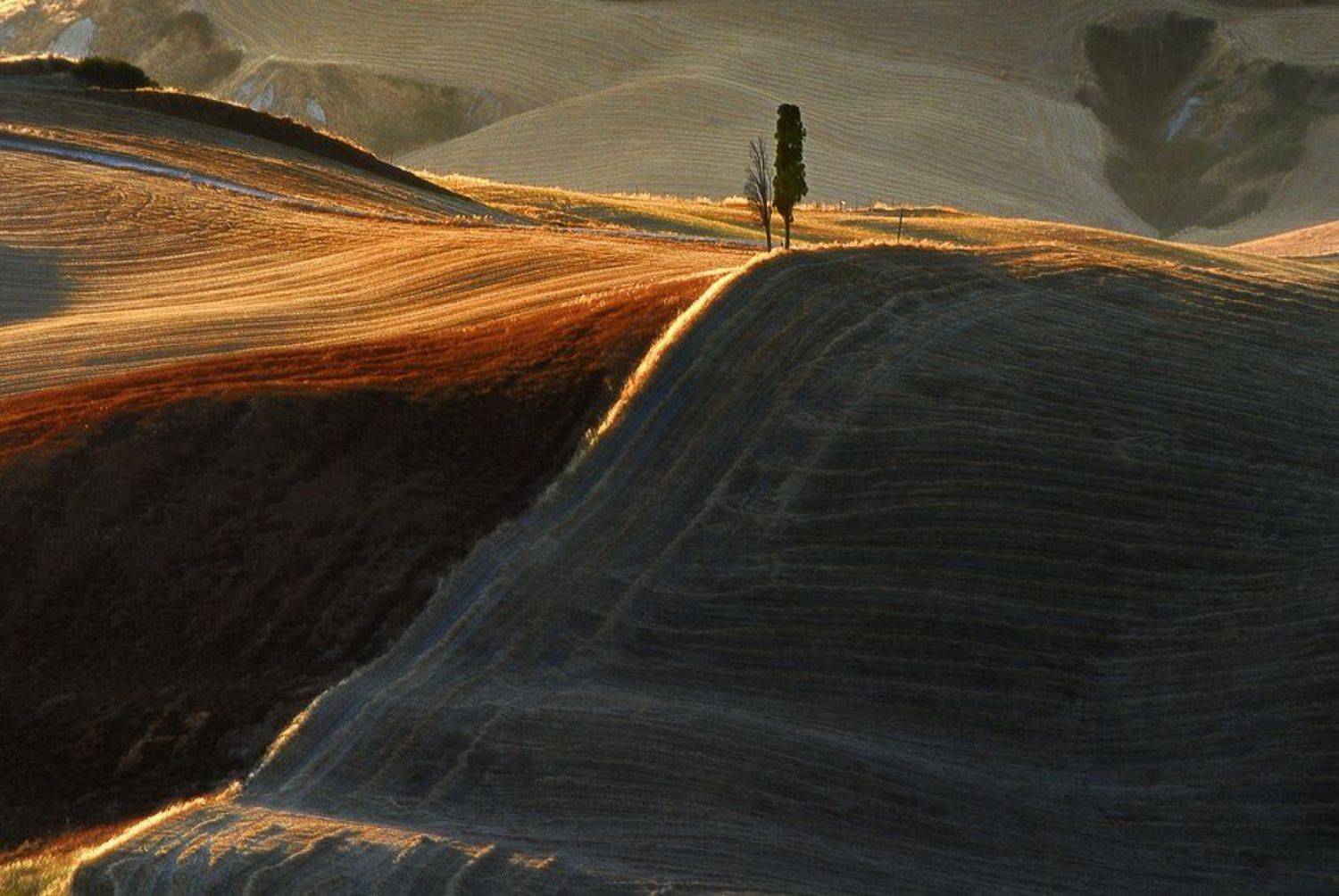 tuscany. тоскана, cypress,crete senese, Jarek Pawlak