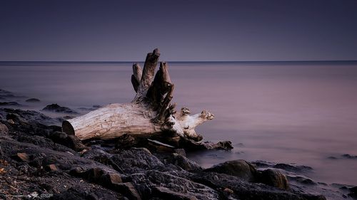 Летним вечером (или про легкую меланхолию...)