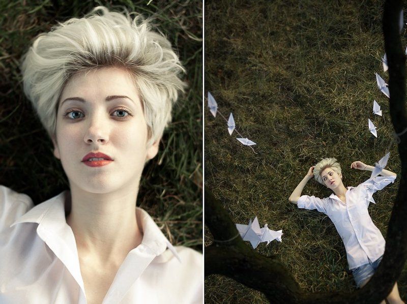 鹤 фото превью