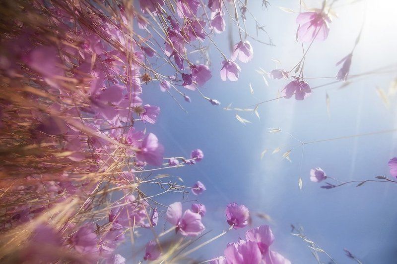 Цветовые Блики фото превью