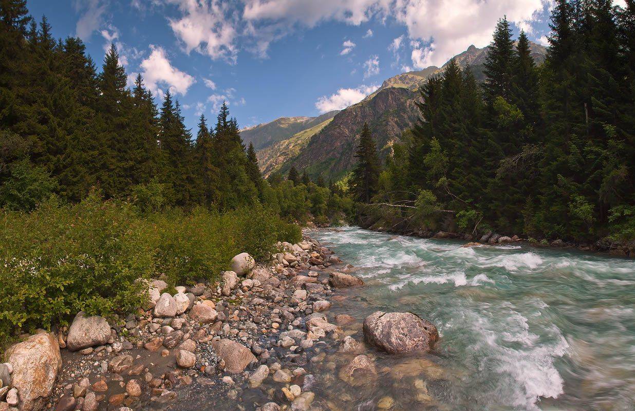 кавказ, домбай, гоначхир, лето, Николай Мысливцев