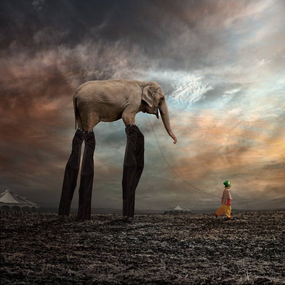 , Caras Ionut