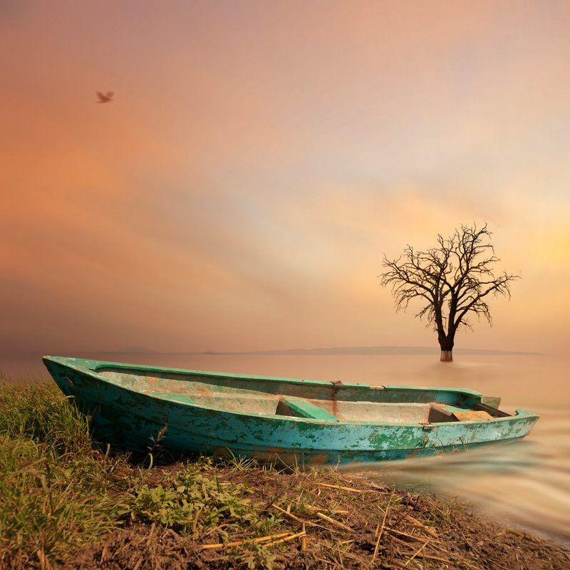 Calm фото превью