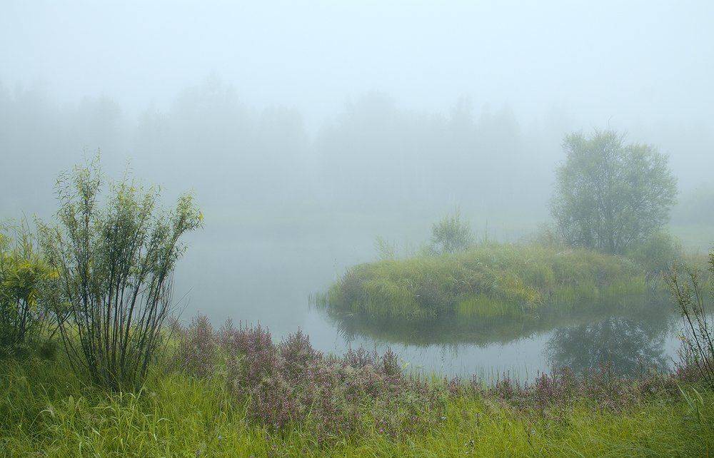 , Николай Морский