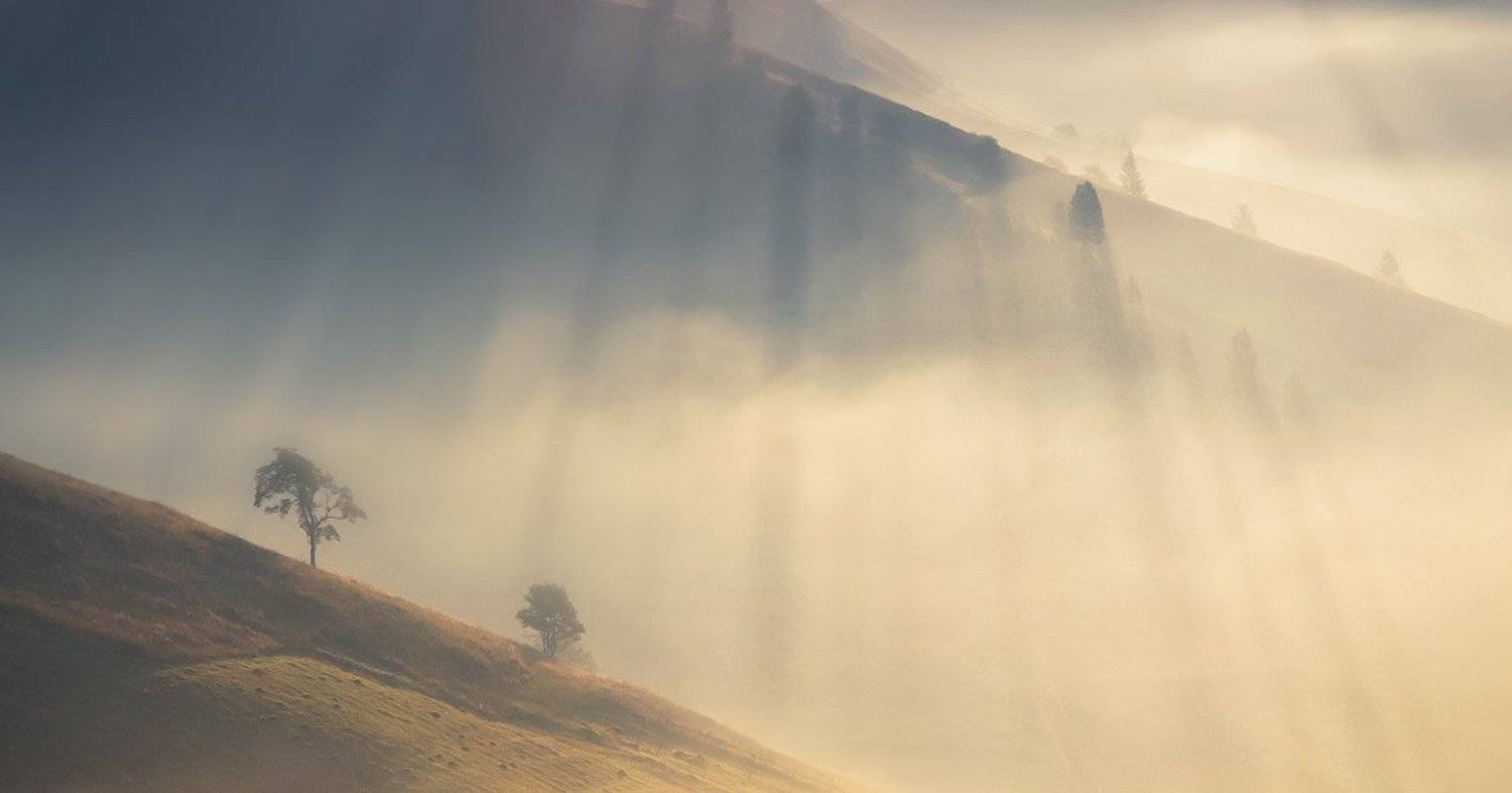 , Денис Кривой