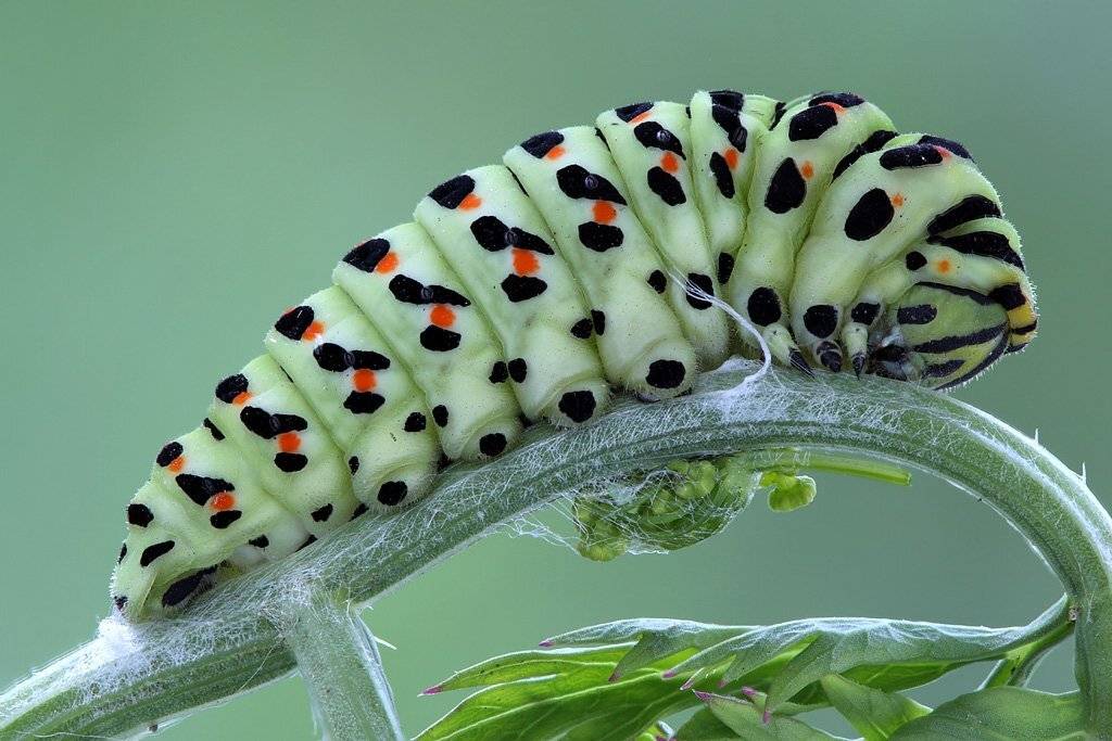 , Сергей Таланов