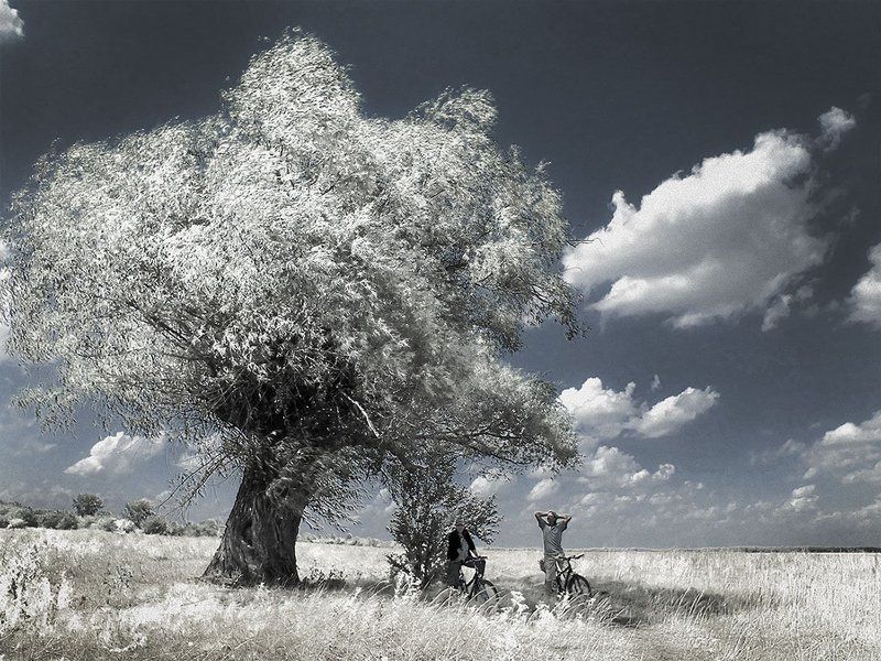 *** фото превью