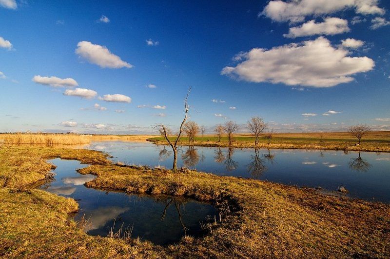 кызыл-яр Кызыл-яр фото превью