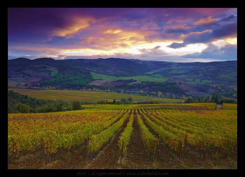 тоскана Под небом Тосканы фото превью