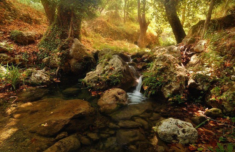 Место, где Сергей Петрович обрел покой, умиротворение и спрятался наконец от проклятой жары. фото превью