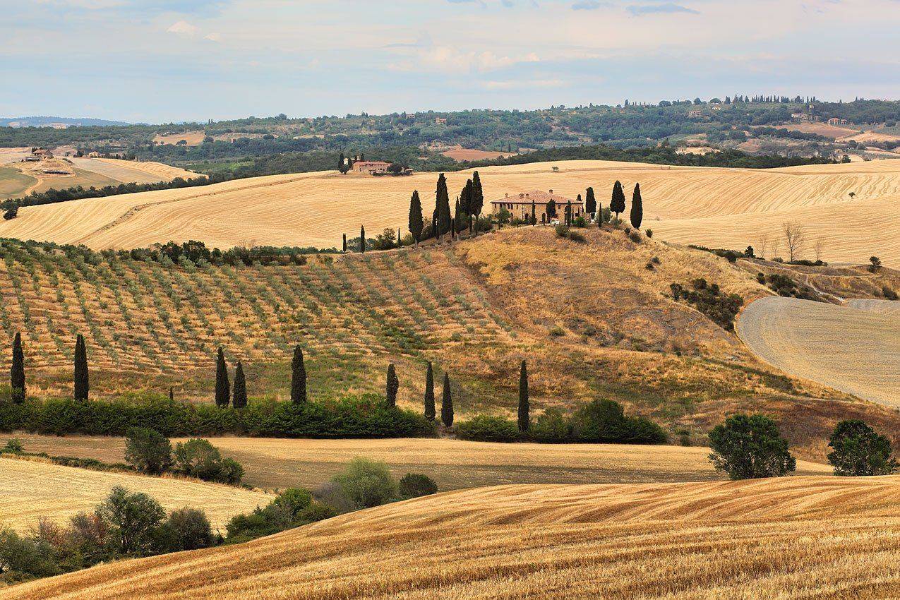 , Игорь Дубровский