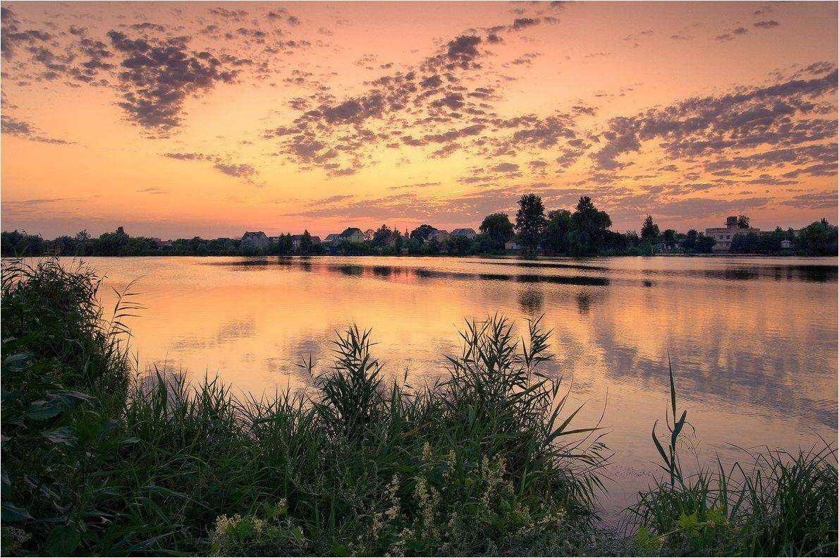 , Николай Шахманцир