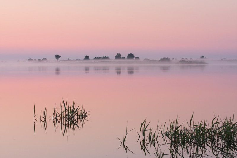 ночь, лето Ночью белой фото превью