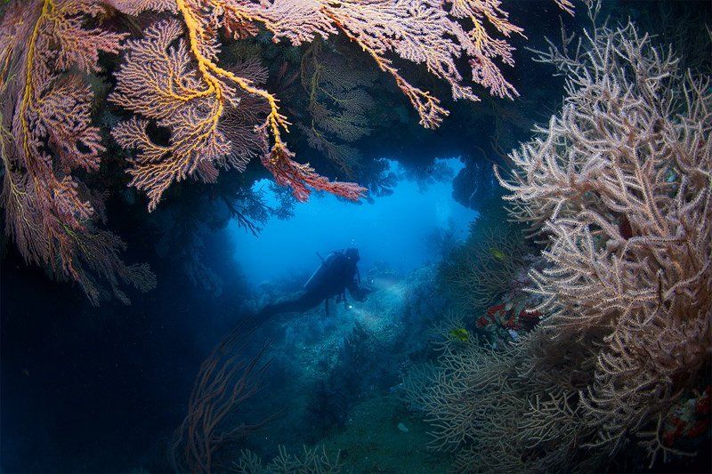 Explorer фото превью