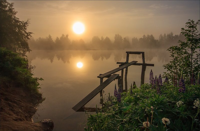 В ожидании... фото превью