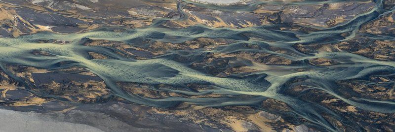 Щупальца фото превью