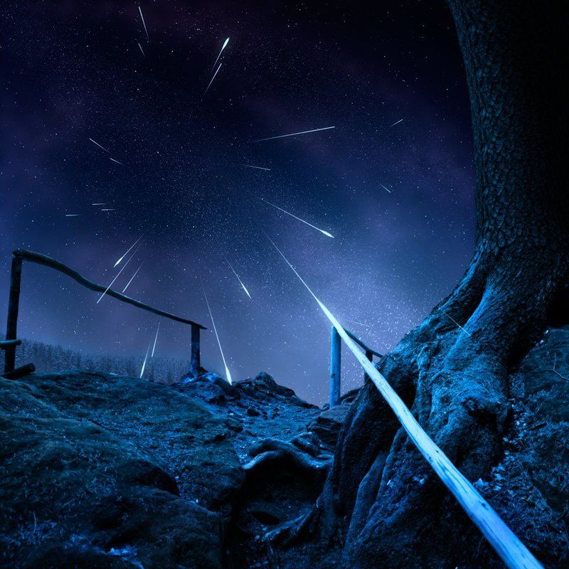 Make a wish ! фото превью
