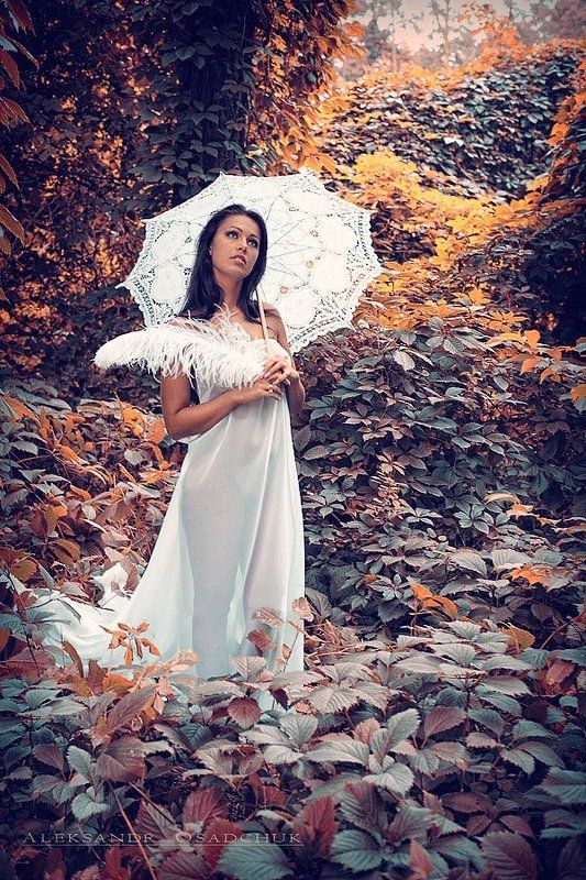...... фото превью