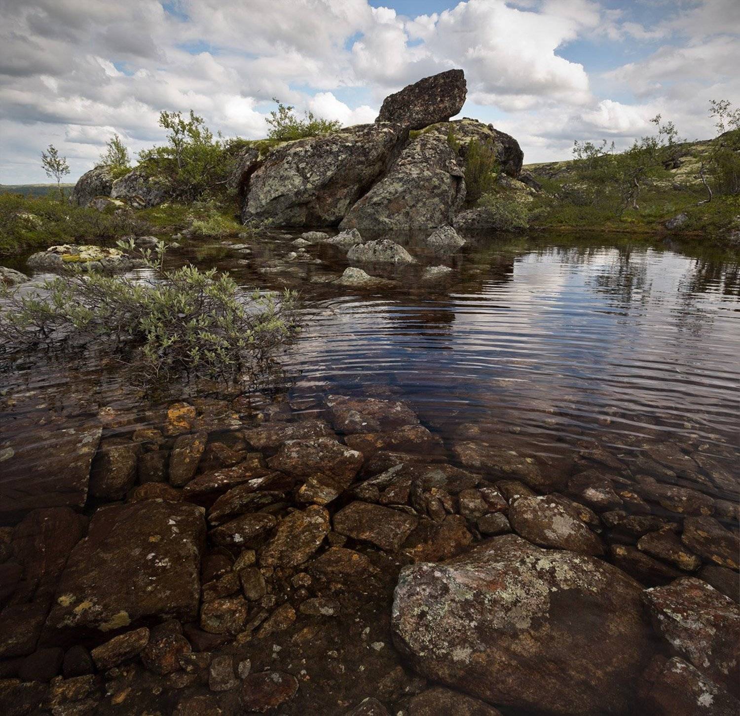 кольский, полуостров, лето, сейд, Nikolai (locus)