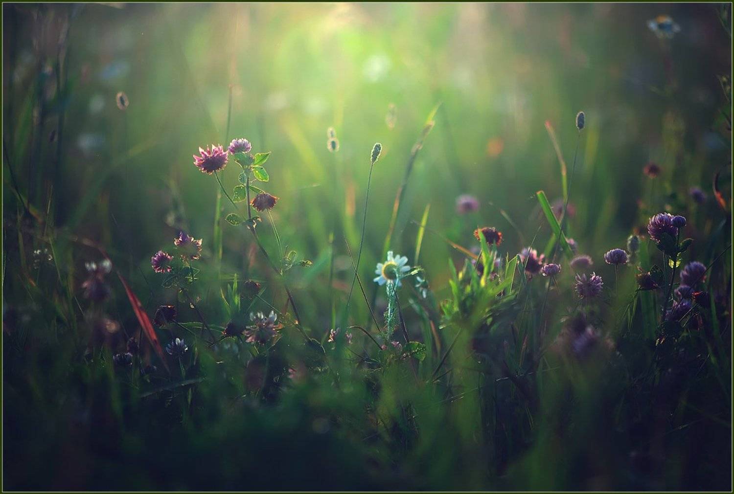 , Евгений Кирилкин.