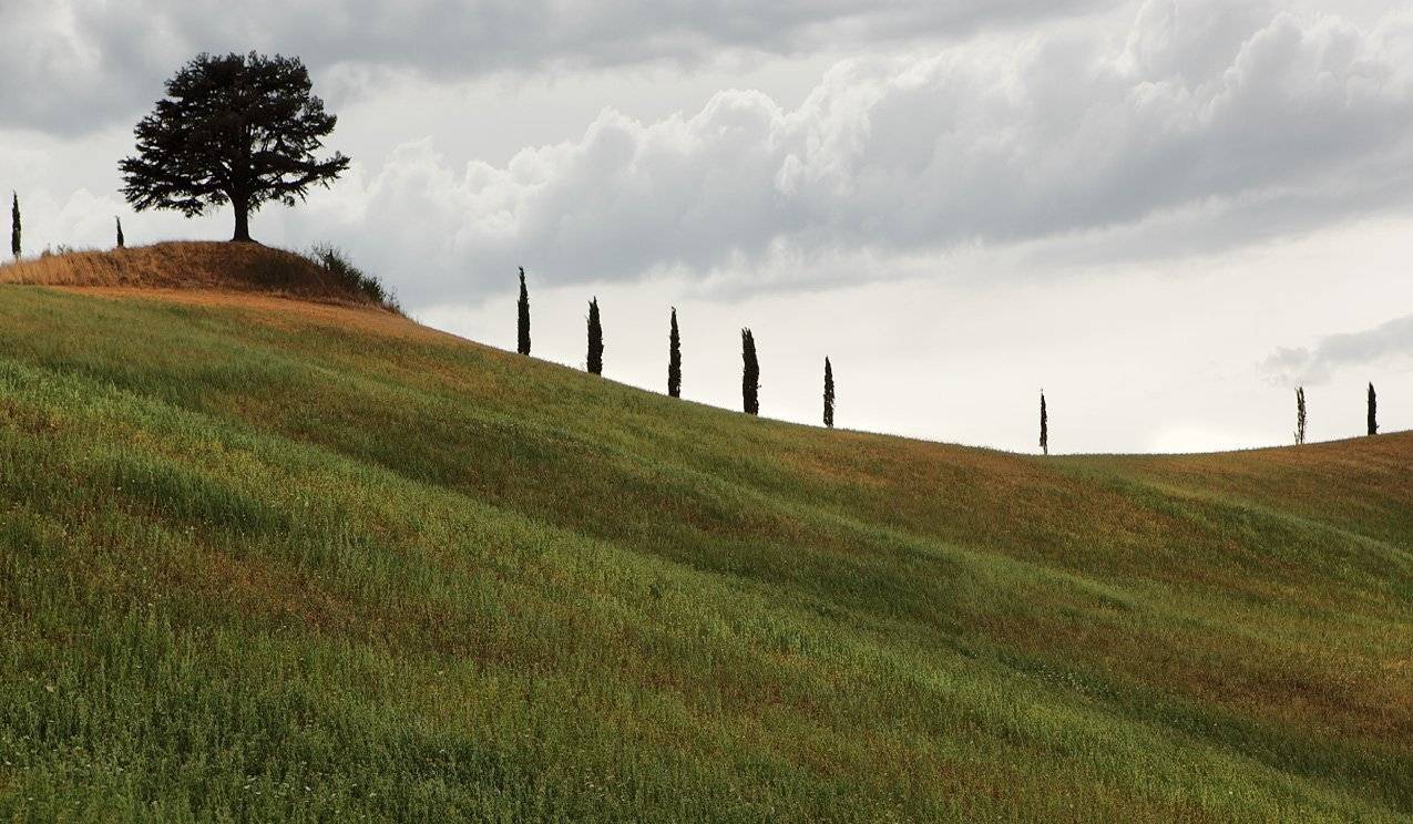 италия, тоскана, Игорь Дубровский