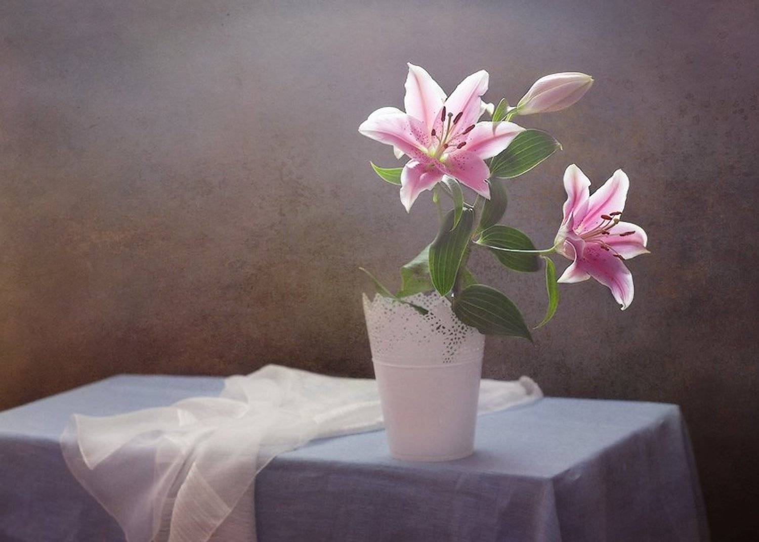 , Alina Lankina