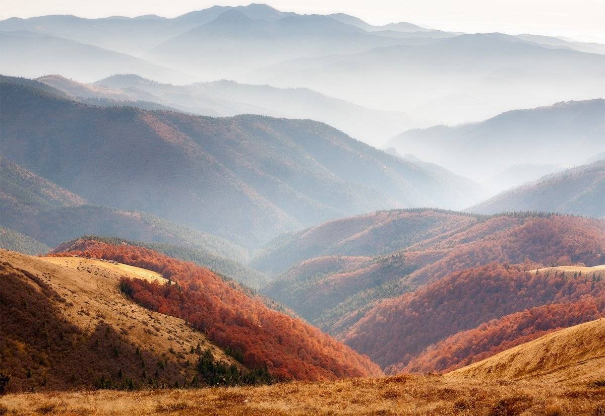 , Андрій Плясун