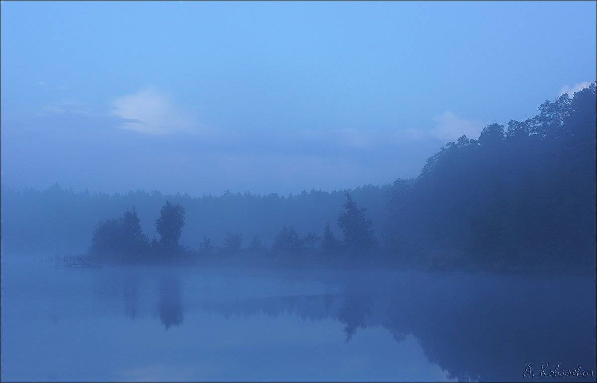 , Ковалевич А.