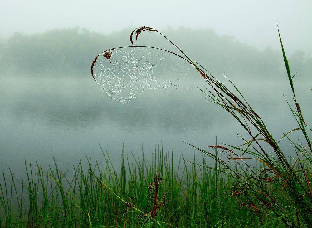 , Николай Морский