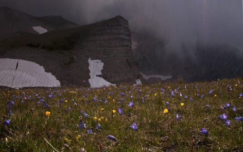 И снег , и солнце, и они....)