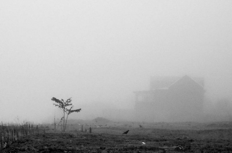 Здесь живёт туман фото превью