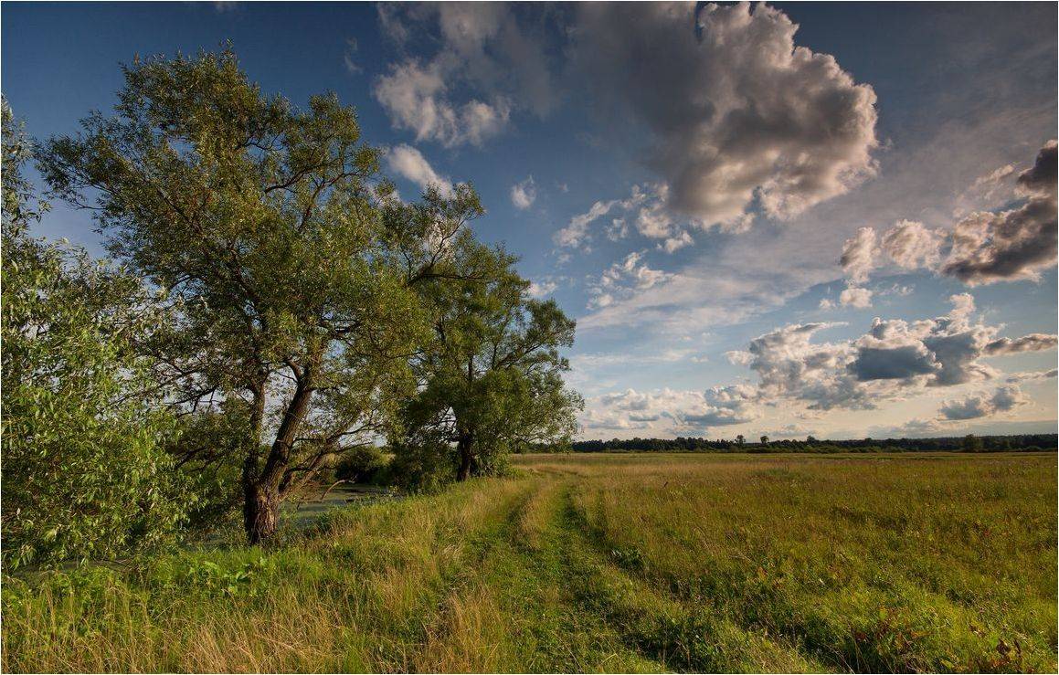 , Володимир Карчевський