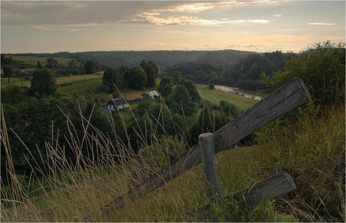 , Николай Шахманцир